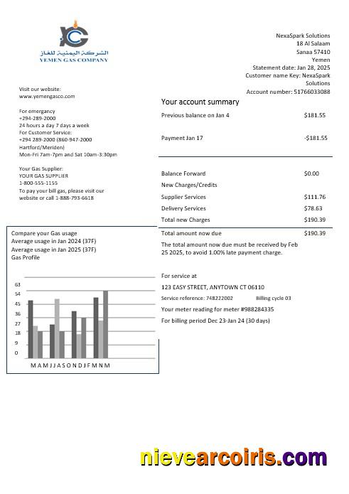 Yemen Gas Company business utility bill